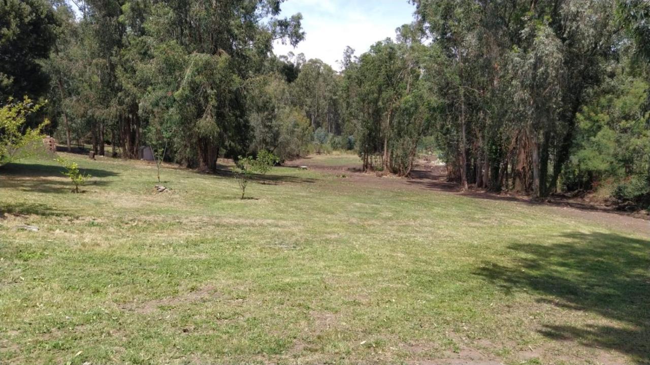 Villa El Bosque De Las Animas à Tandil Extérieur photo